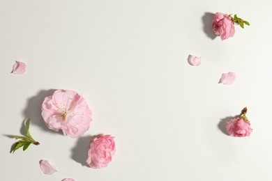 Photo of Beautiful pink flowers on light background, flat lay. Space for text