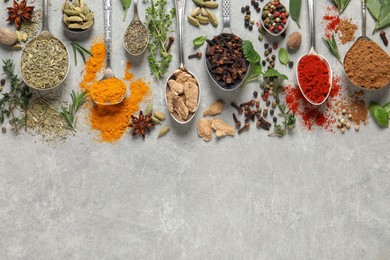 Photo of Different herbs and spices with spoons on grey table, flat lay. Space for text