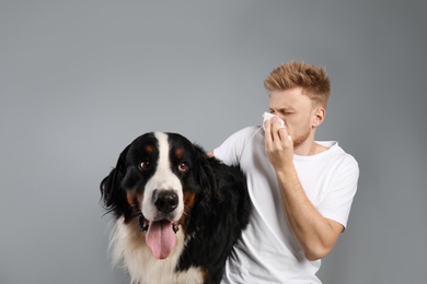 Young man suffering from fur allergy on grey background