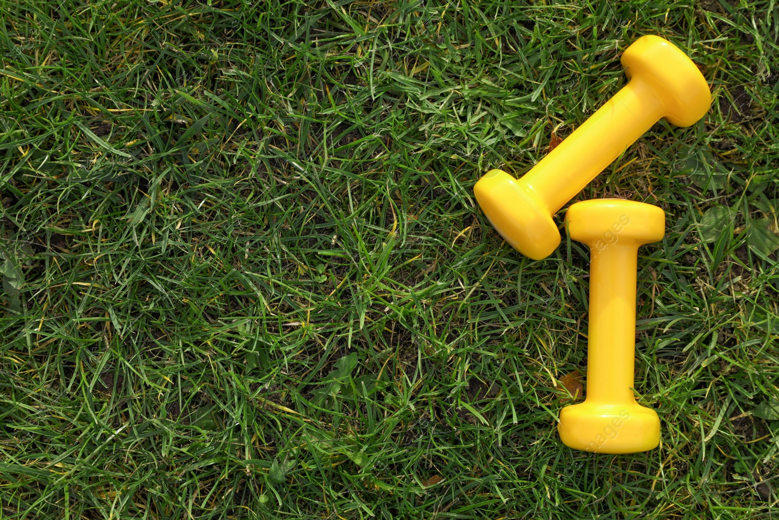 Photo of Yellow dumbbells on green grass, top view with space for text. Morning exercise