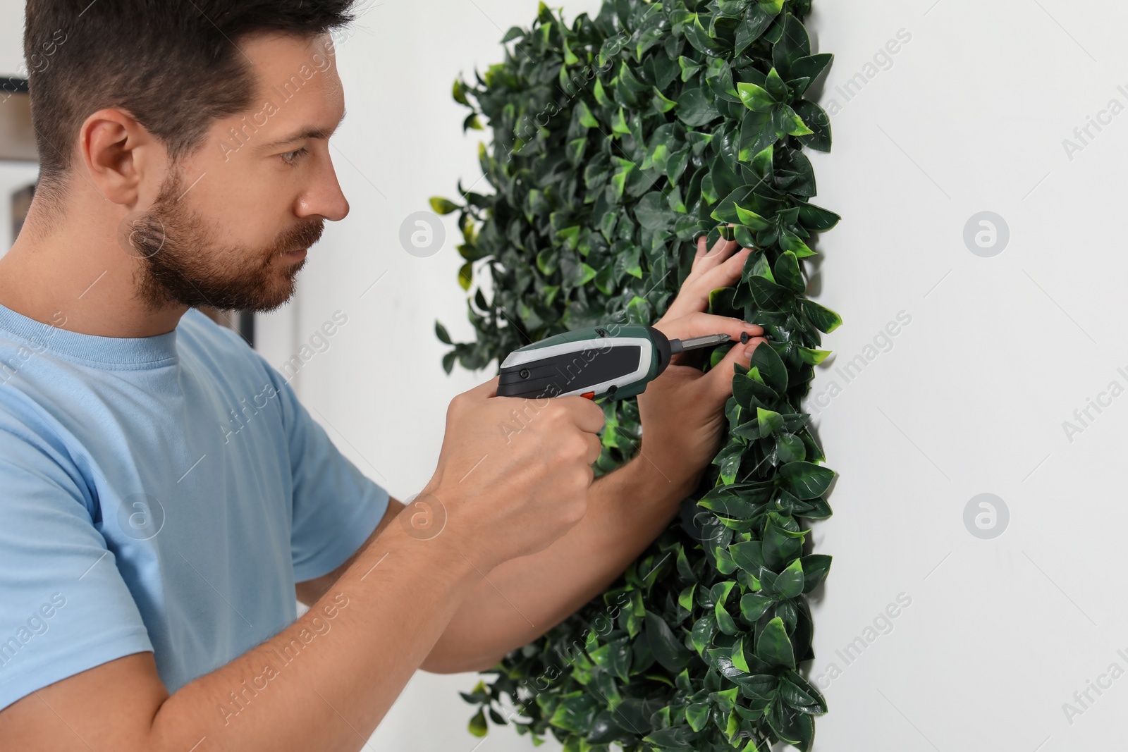 Photo of Man with screwdriver installing green artificial plant panel on white wall