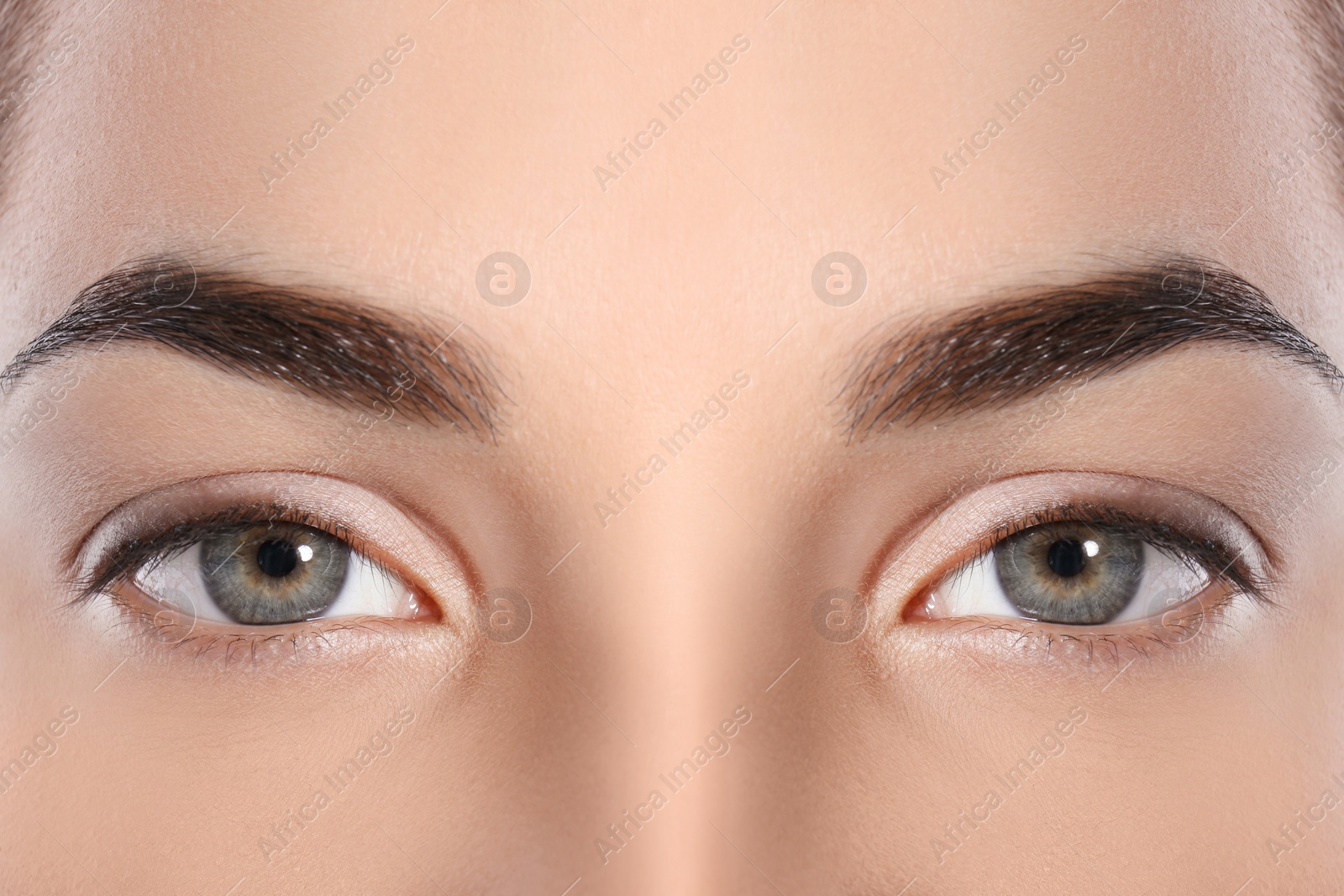 Image of Beautiful woman with perfect eyebrows, closeup view