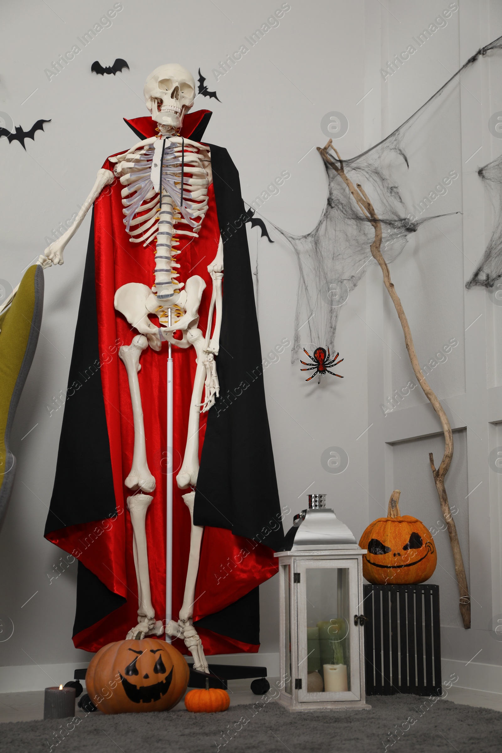 Photo of Skeleton in cloak, pumpkins with drawn spooky faces and paper bats on light wall indoors. Halloween decor