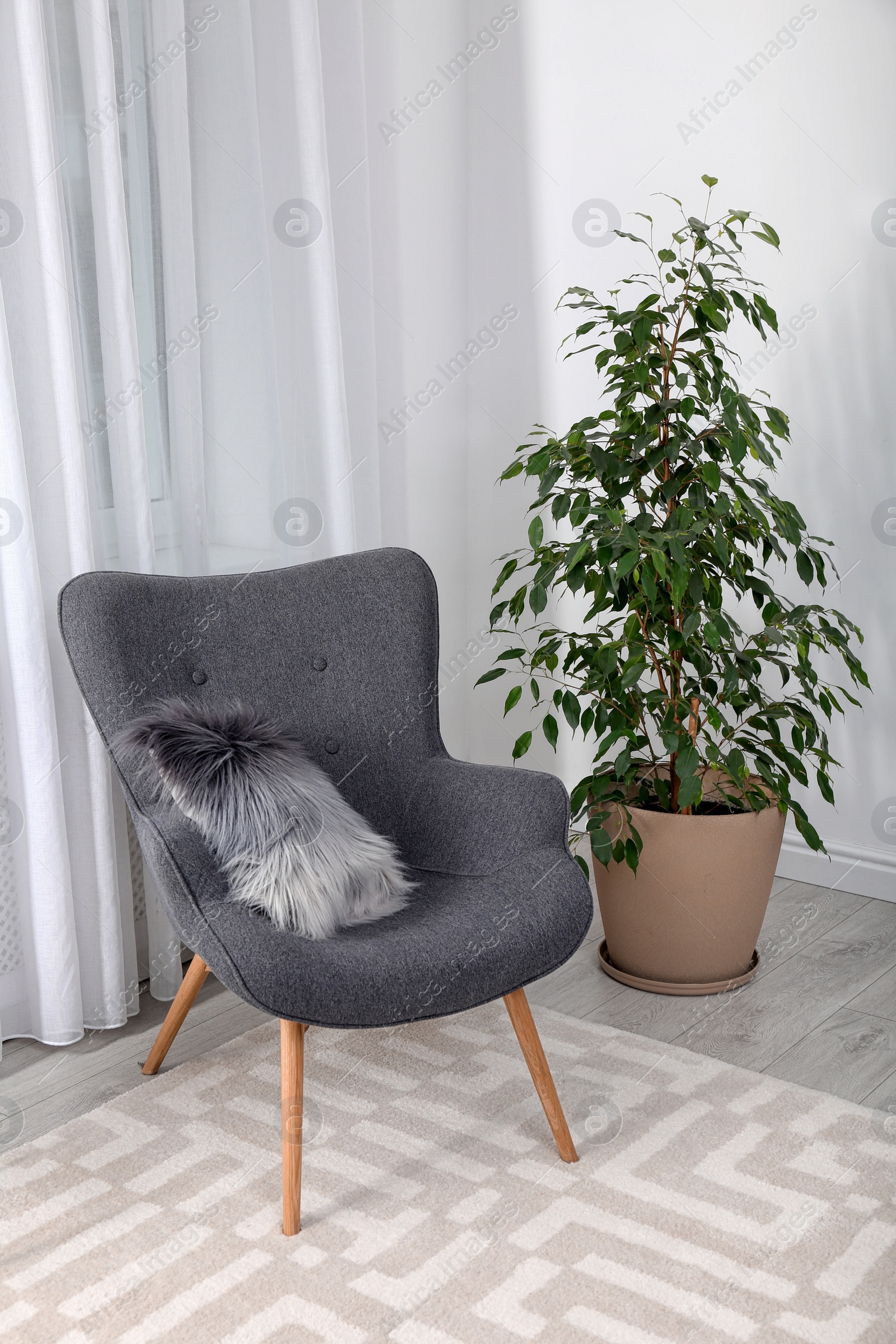 Photo of Stylish room interior with armchair and potted ficus