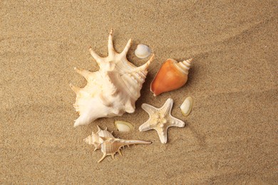 Photo of Beautiful sea star and shells on sand, flat lay