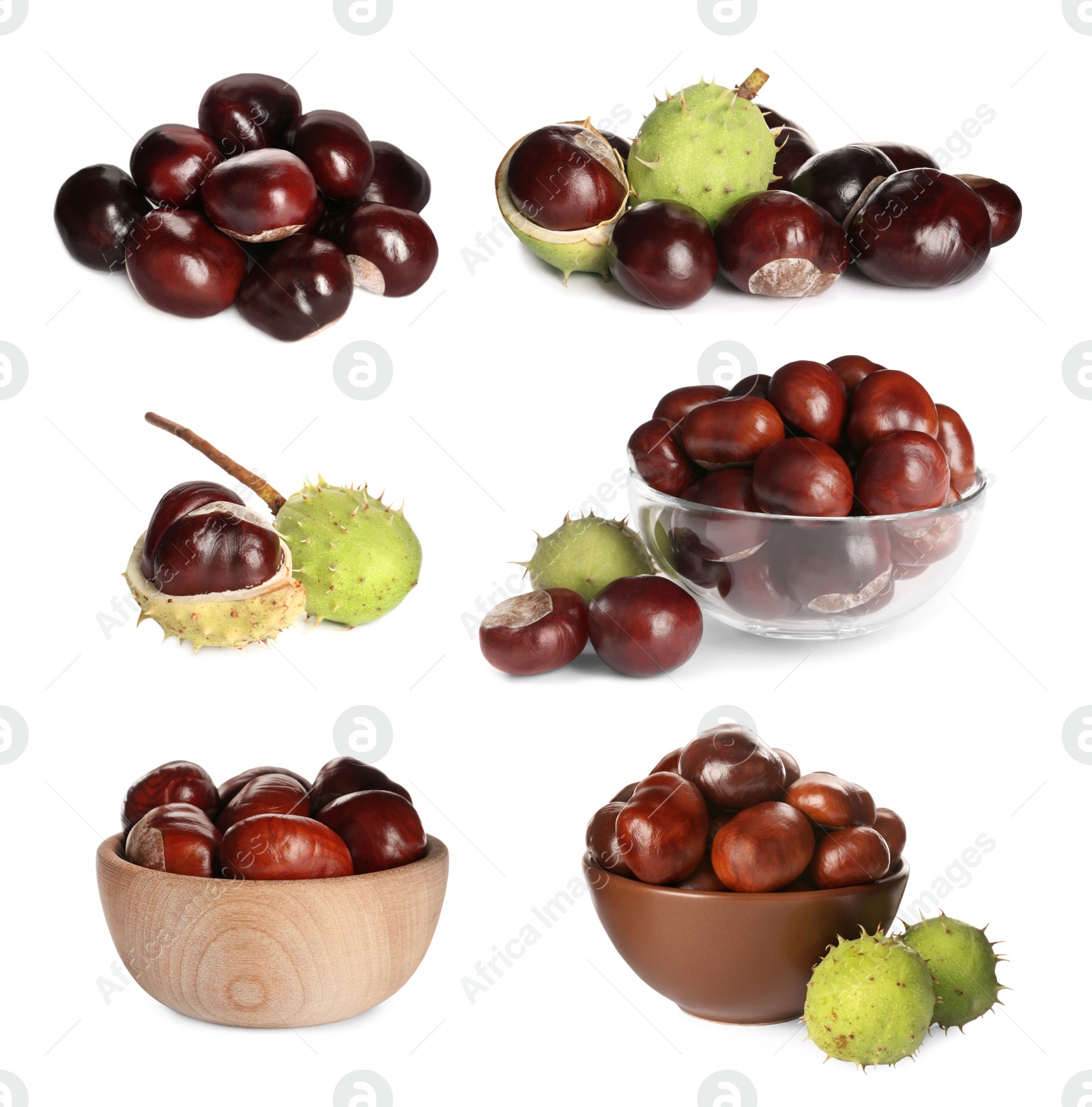 Image of Set of brown horse chestnuts isolated on white