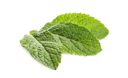 Fresh green mint leaves on white background