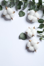 Fluffy cotton flowers and eucalyptus leaves on white background, flat lay. Space for text