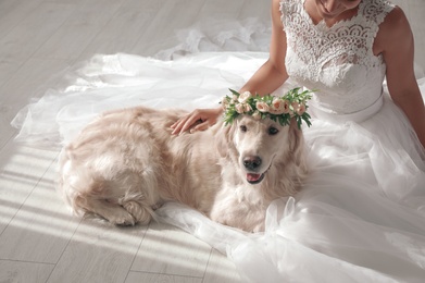 Photo of Bride and adorable Golden Retriever wearing wreath made of beautiful flowers indoors, closeup