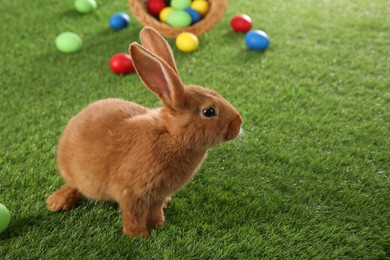 Cute bunny and Easter eggs on green grass