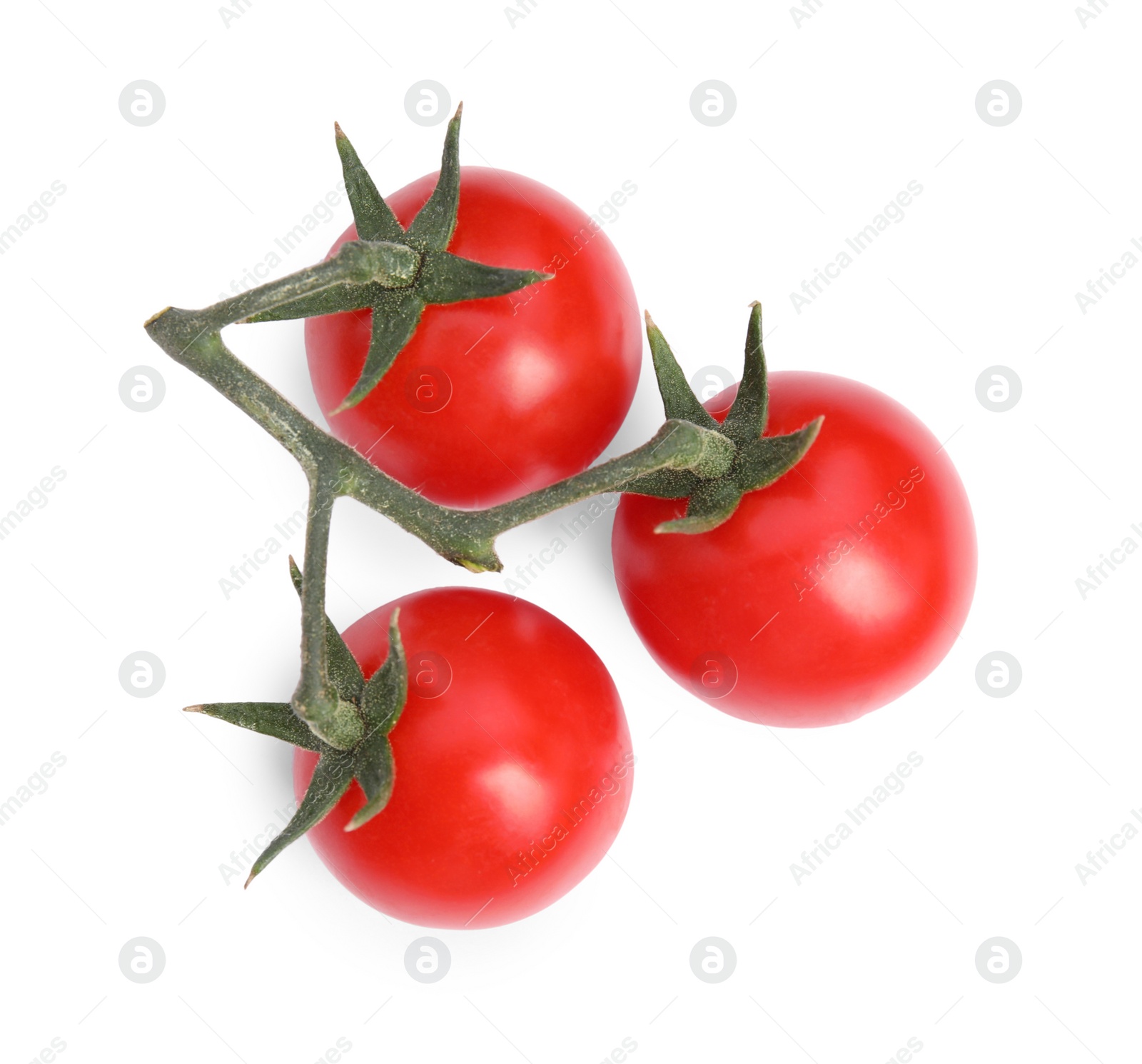 Photo of Branch of red ripe cherry tomatoes isolated on white, top view