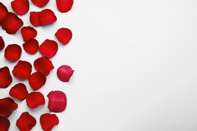 Red rose petals on white background, top view