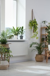 Photo of Stylish room with beautiful plants near window. Interior design