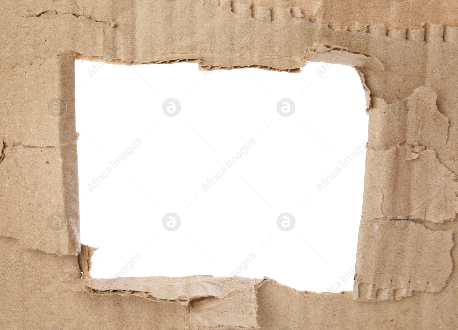 Photo of Hole in brown cardboard on white background