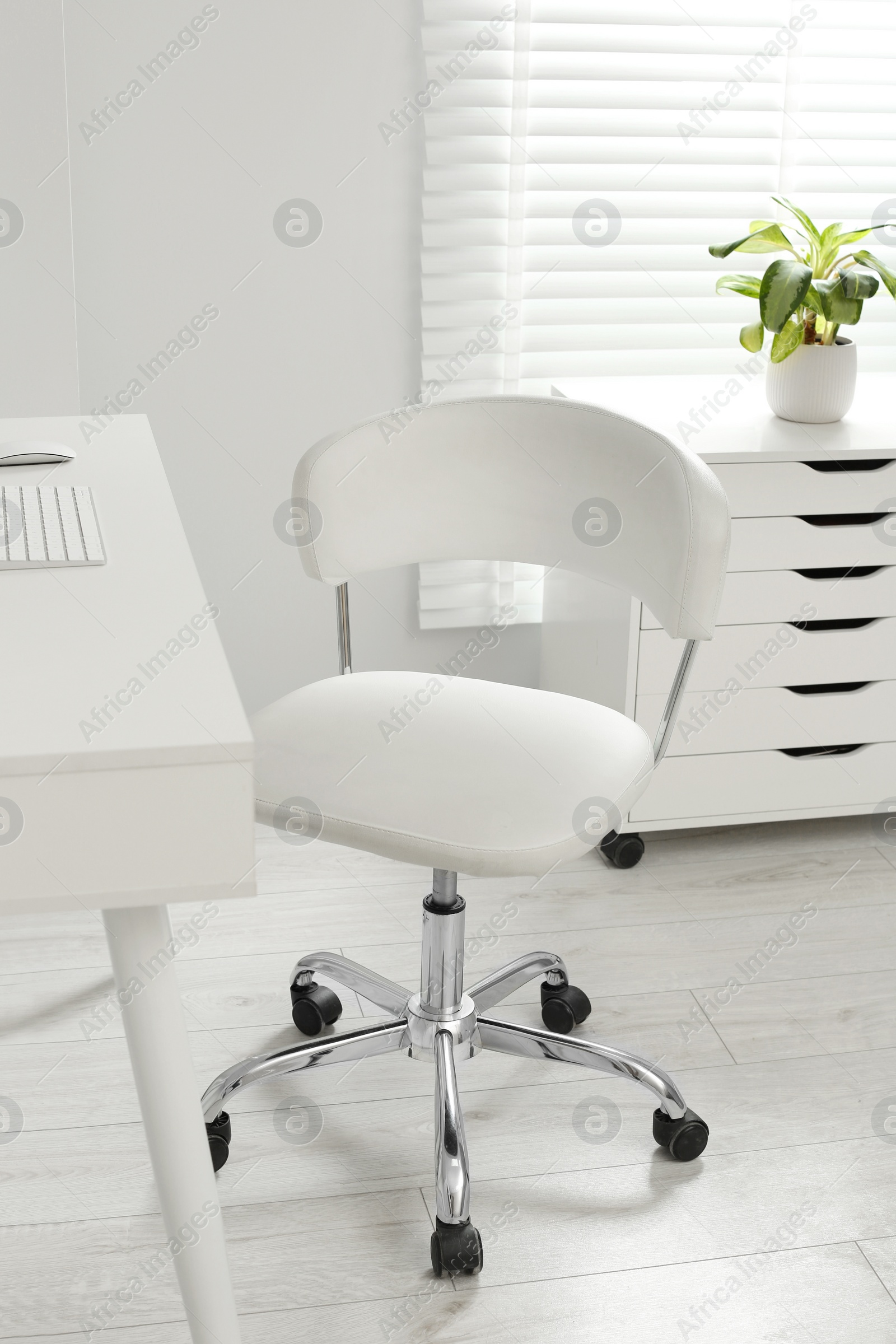 Photo of Stylish office chair at workplace in room. Interior design