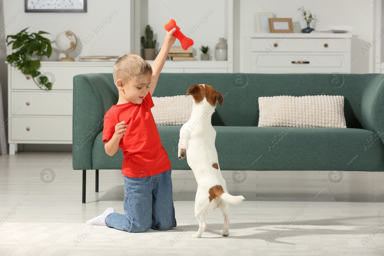 Photo of Little boy playing with his cute dog at home, space for text. Adorable pet