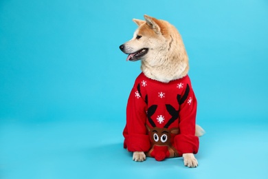 Photo of Cute Akita Inu dog in Christmas sweater on blue background. Space for text