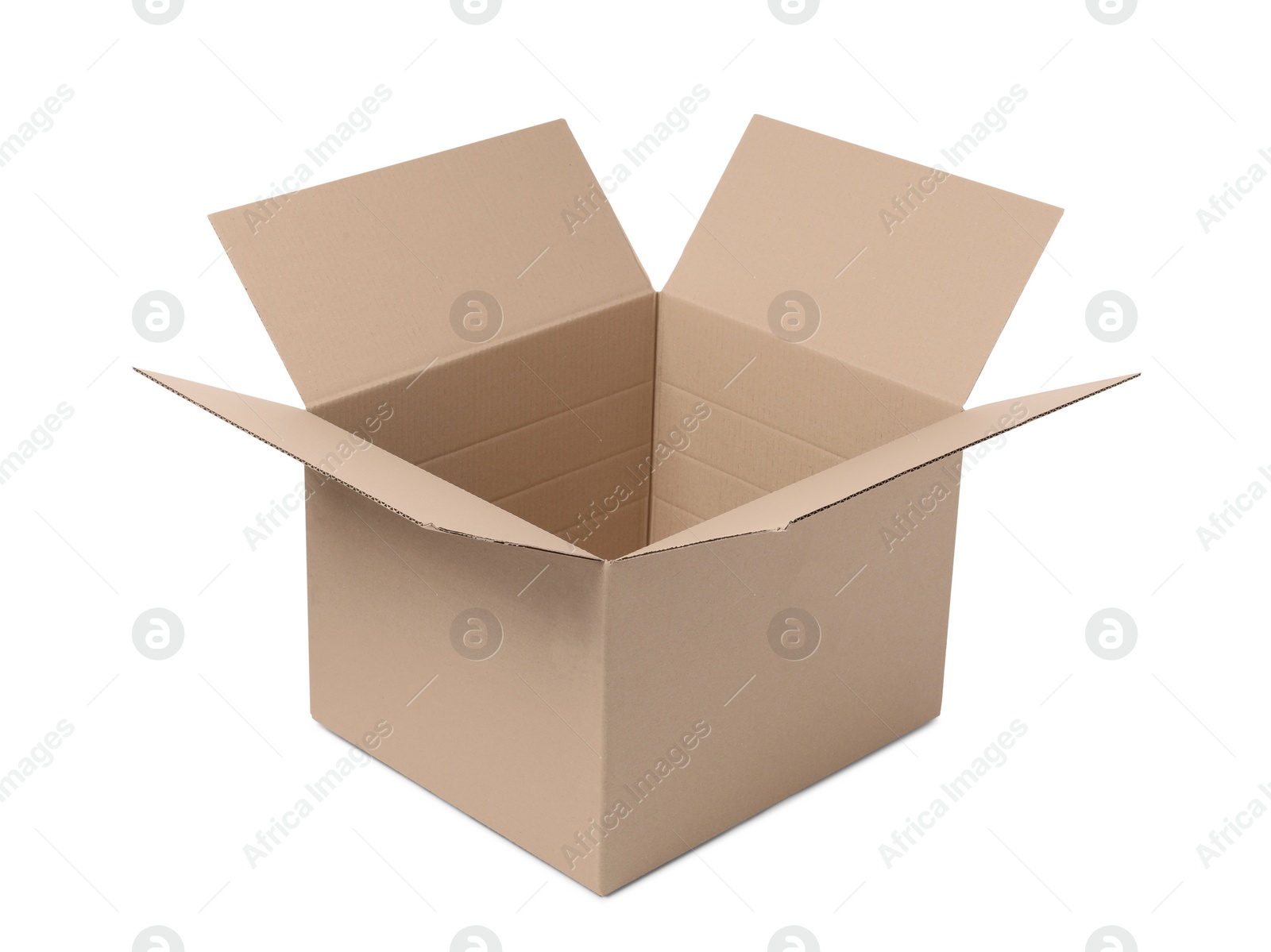 Photo of Open empty cardboard box isolated on white