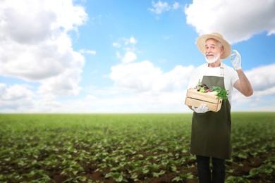 Harvesting season. Farmer holding wooden crate with crop and showing ok gesture in field