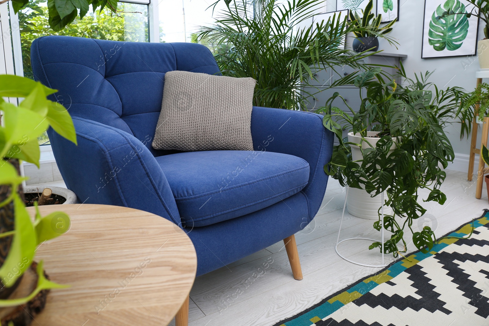 Photo of Comfortable armchair and beautiful houseplants in room. Lounge area interior