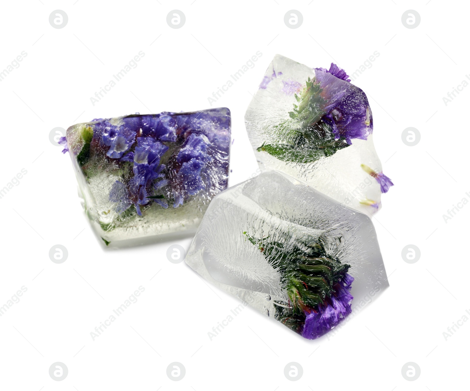 Image of Ice cubes with flowers on white background