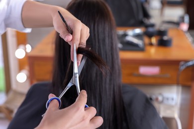 Professional hairdresser cutting woman's hair in beauty salon, closeup