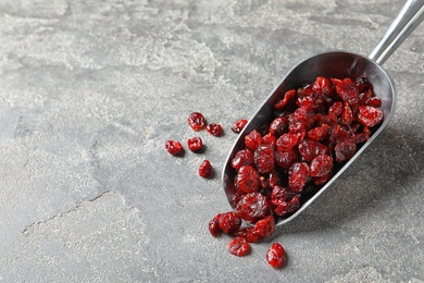 Photo of Scoop with cranberries on grey background, space for text. Dried fruit as healthy snack