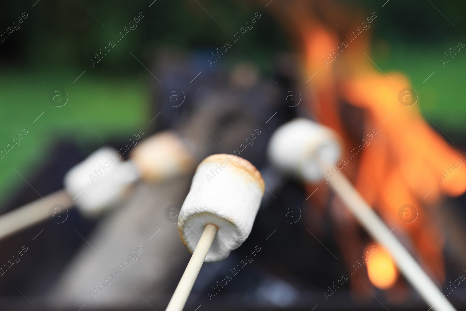 Photo of Delicious puffy marshmallows roasting over bonfire, closeup. Space for text