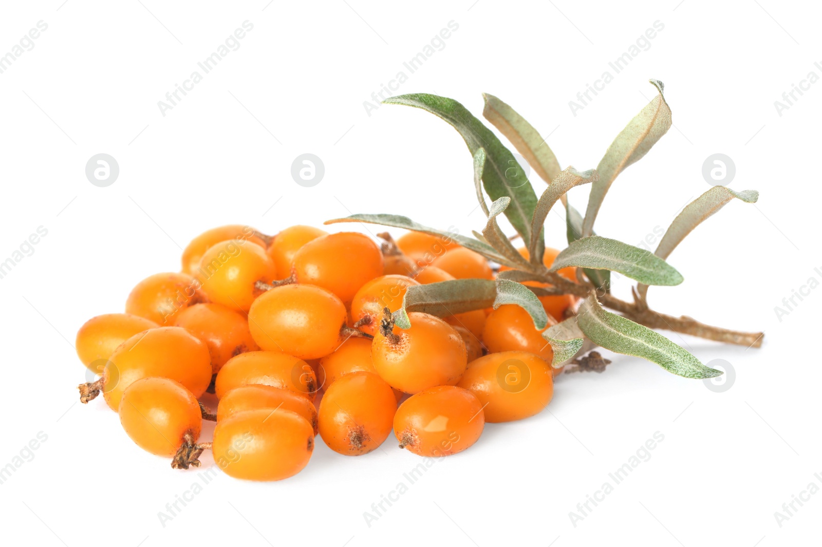 Photo of Fresh ripe sea buckthorn berries and leaves on white background