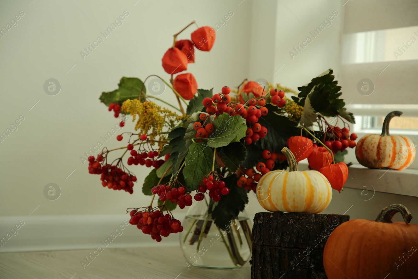 Photo of Beautiful autumn composition with different pumpkins indoors