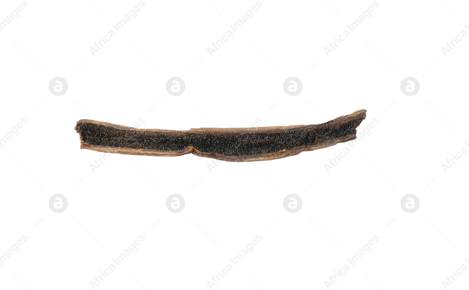 Photo of One aromatic vanilla pod isolated on white