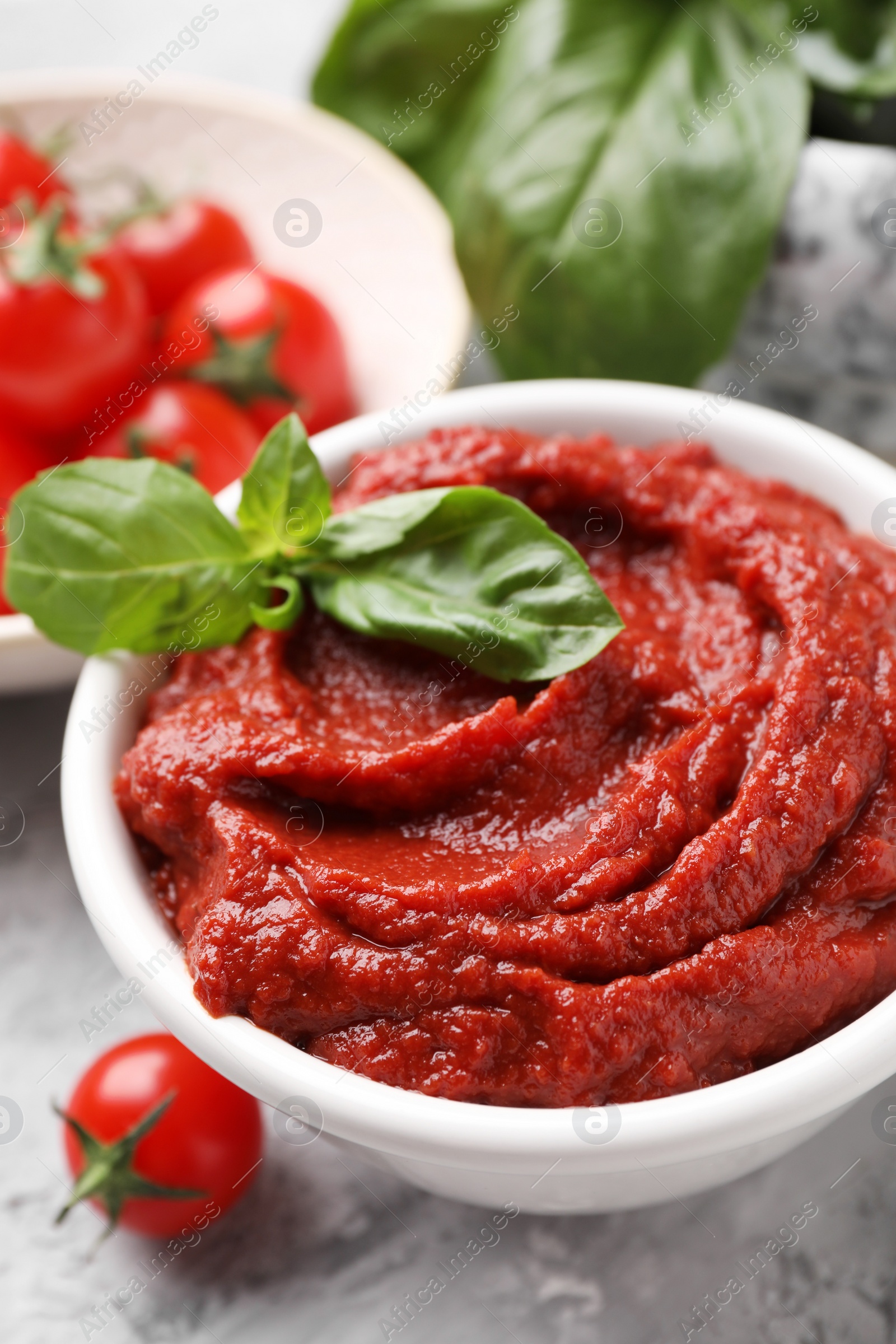 Photo of Tasty tomato paste and basil in bowl on light gray table, closeup