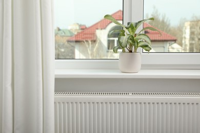 Photo of Beautiful houseplant on window sill and modern radiator at home. Central heating system