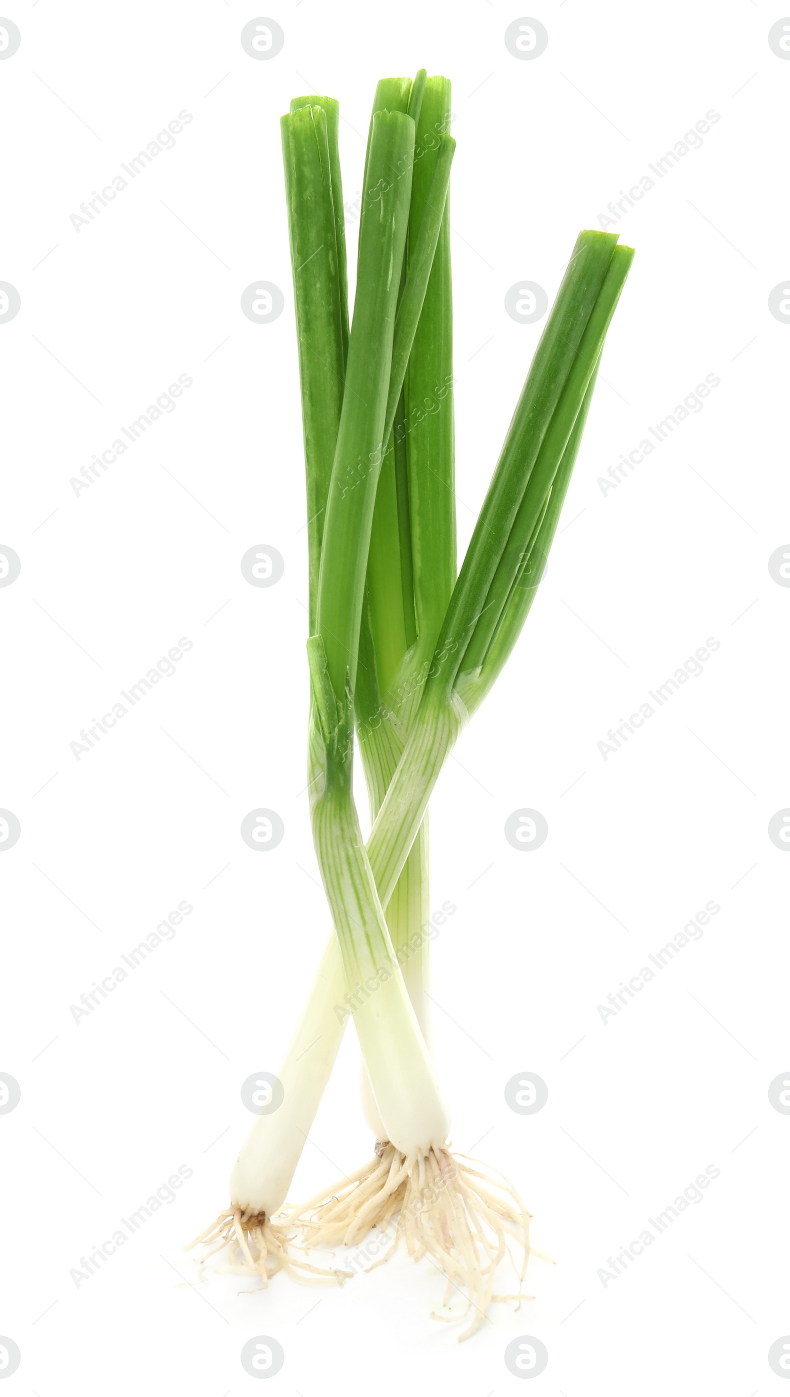 Photo of Fresh green onion on white background