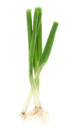 Photo of Fresh green onion on white background