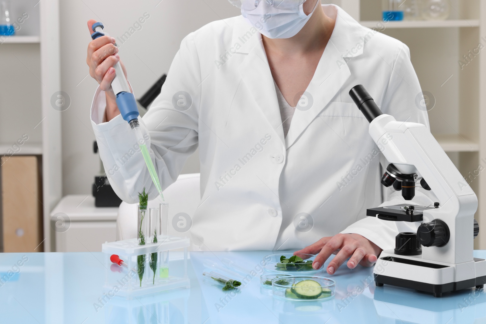 Photo of Quality control. Food inspector checking safety of products in laboratory