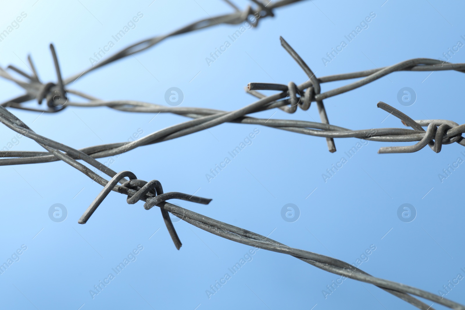 Photo of Metal barbed wire on light blue background, closeup