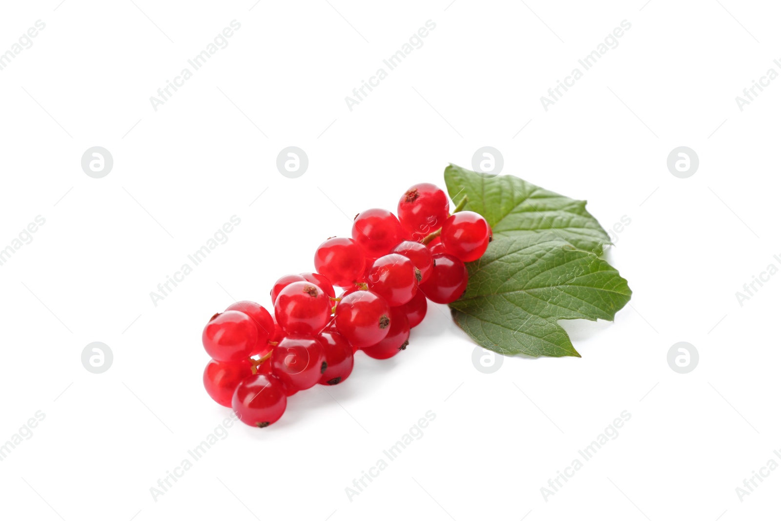 Photo of Delicious ripe red currants isolated on white