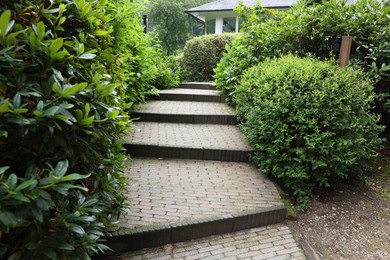 Lovely garden with green shrubbery and paved stairs. Landscape design