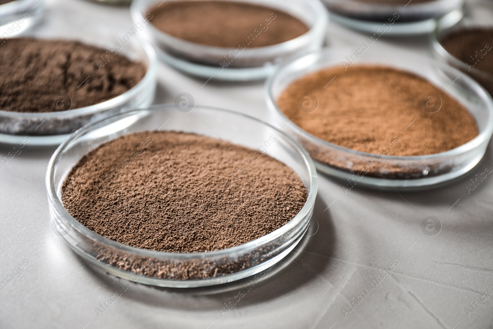 Photo of Petri dishes with soil samples on grey table, closeup. Laboratory research