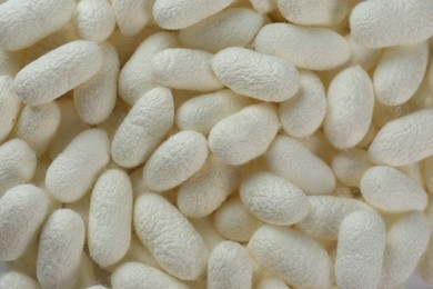 Photo of Pile of natural silkworm cocoons as background, closeup