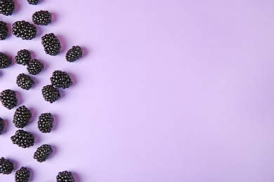 Tasty ripe blackberries on purple background, flat lay. Space for text