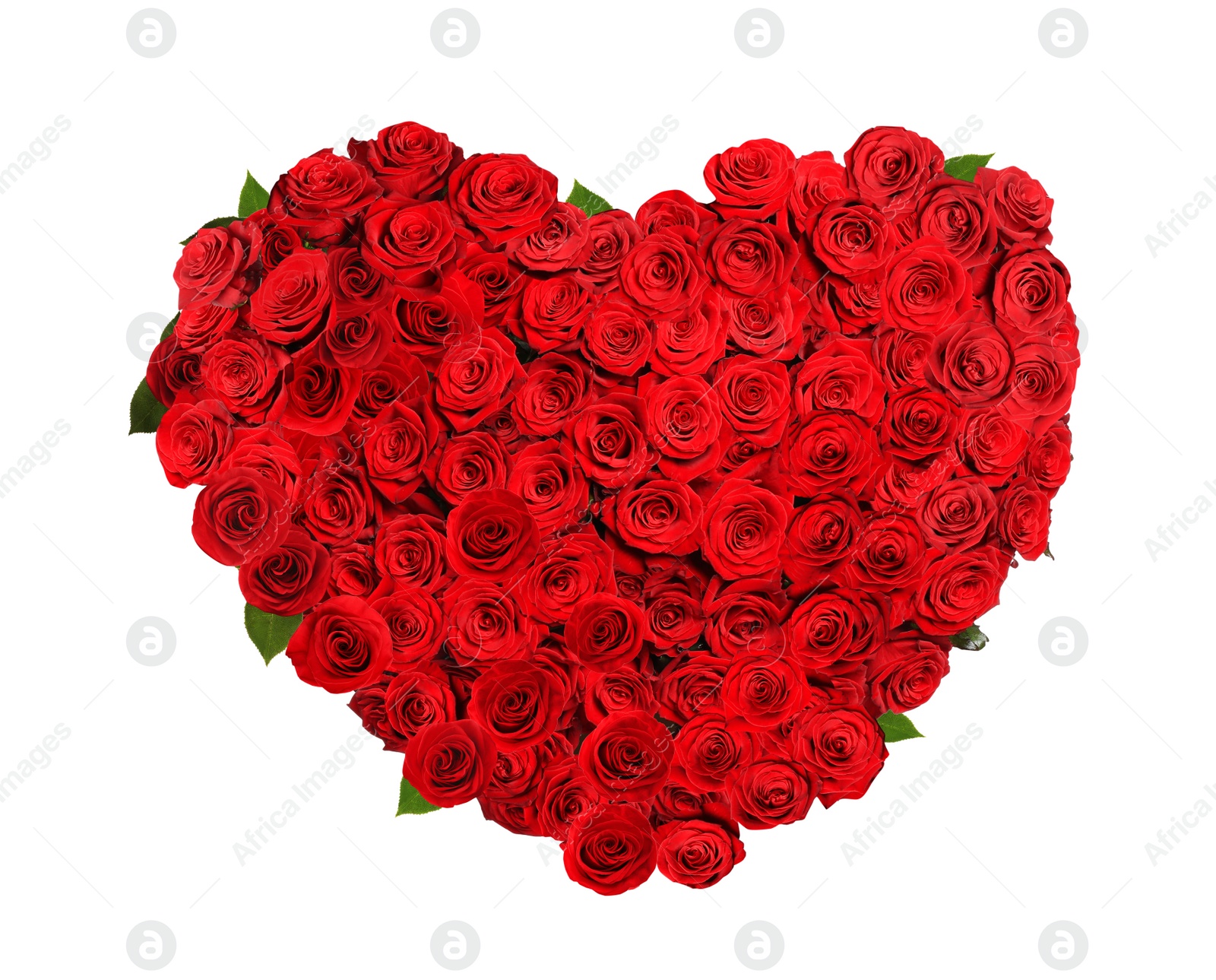 Image of Heart made of red beautiful roses on white background