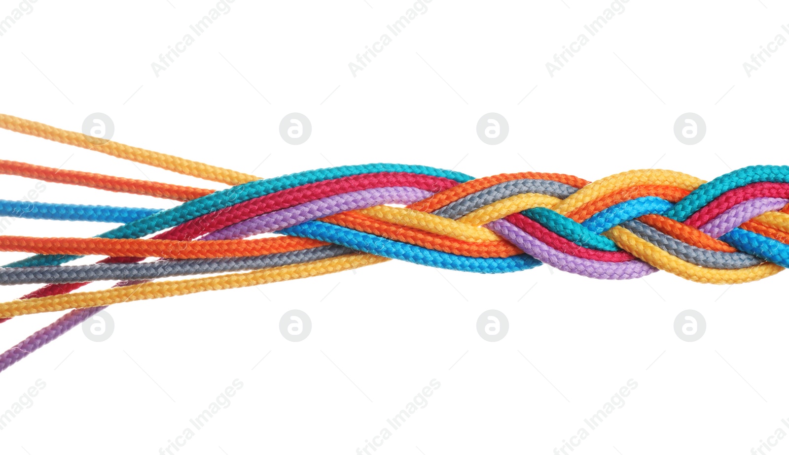 Photo of Braided colorful ropes isolated on white. Unity concept