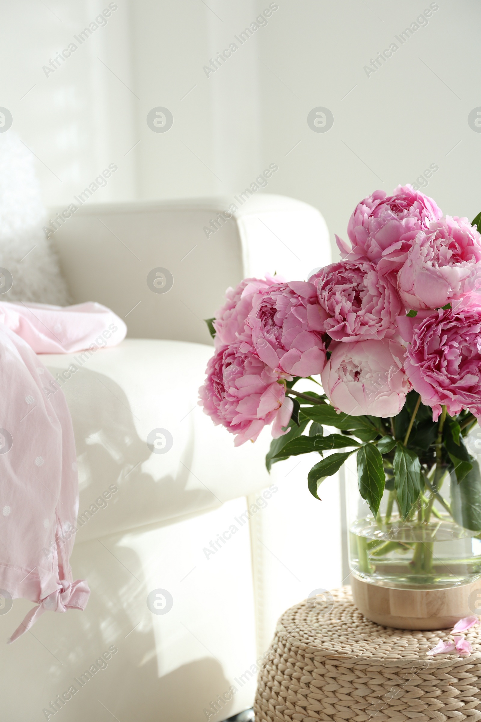 Photo of Bouquet of beautiful peonies on pouf indoors