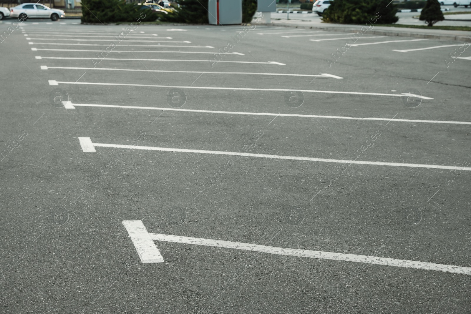 Photo of Car parking lots with white marking lines outdoors