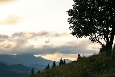 Photo of Beautiful mountains under cloudy sky at sunset. Picturesque landscape