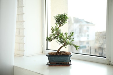 Photo of Japanese bonsai plant on windowsill indoors. Creating zen atmosphere at home