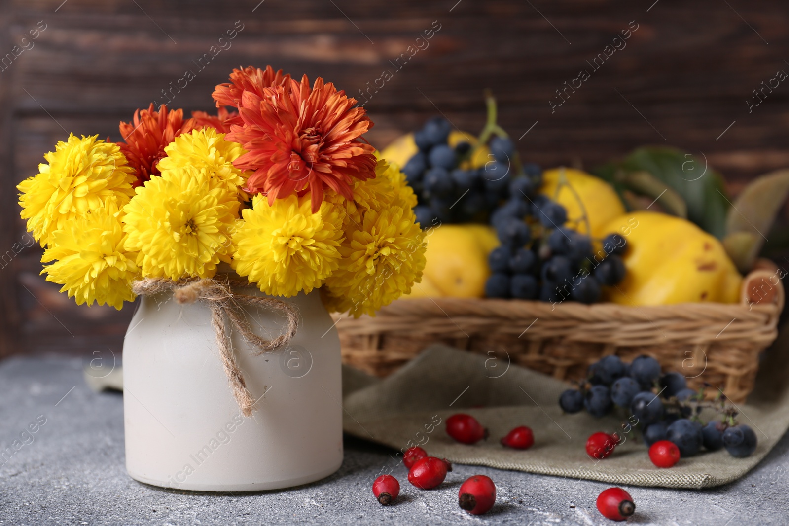 Photo of Bouquet of beautiful chrysanthemum flowers, rose hip berries and sweet fruits on grey table. Space for text