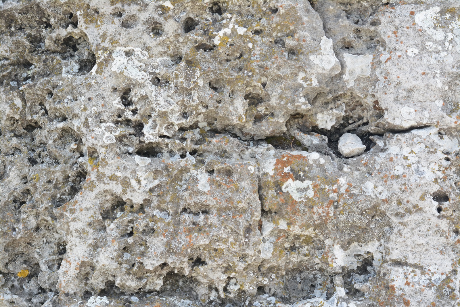 Photo of Closeup view of stone covered with lichen as background